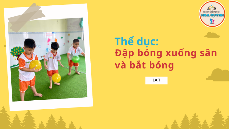 lá 1 đập bóng xuống sân và bắt bóng