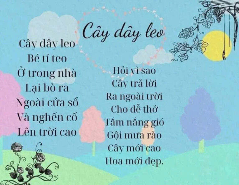 z6888719630447_626817b0085467d34b0518d9fffe4337