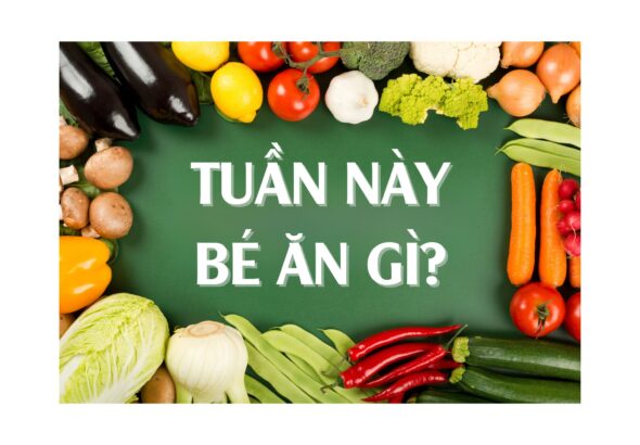 bìa thực đơn