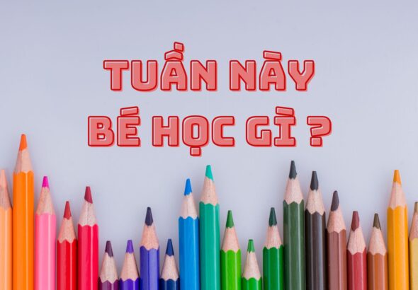 TUẦN NÀY BÉ ĂN GÌ