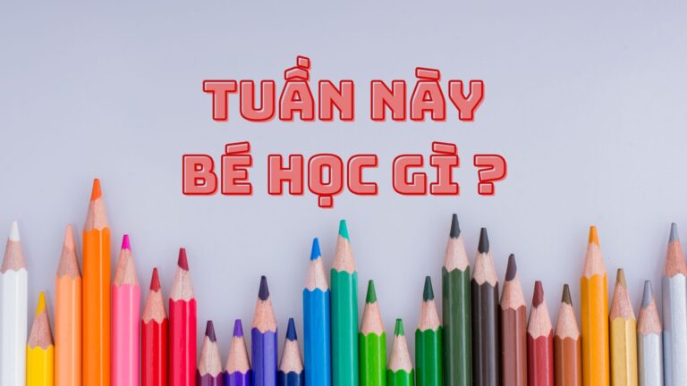 TUẦN NÀY BÉ ĂN GÌ